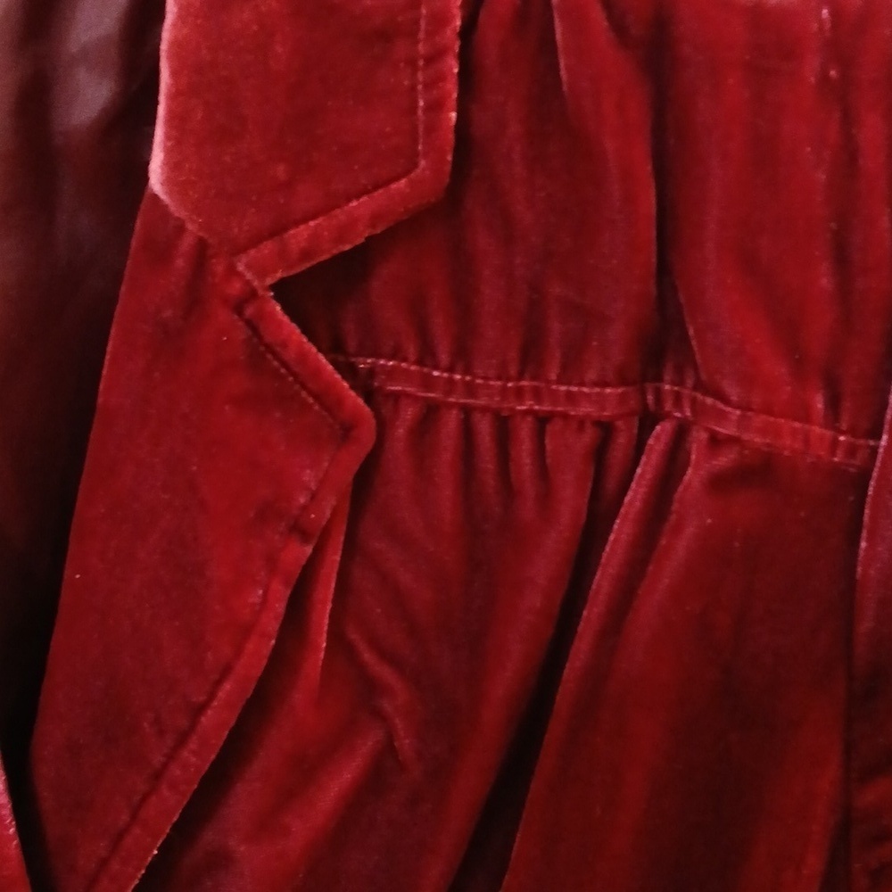 APT 9 Woman's Velvet Fitted Blazer Jacket Sz 12 - Picture 9 of 15